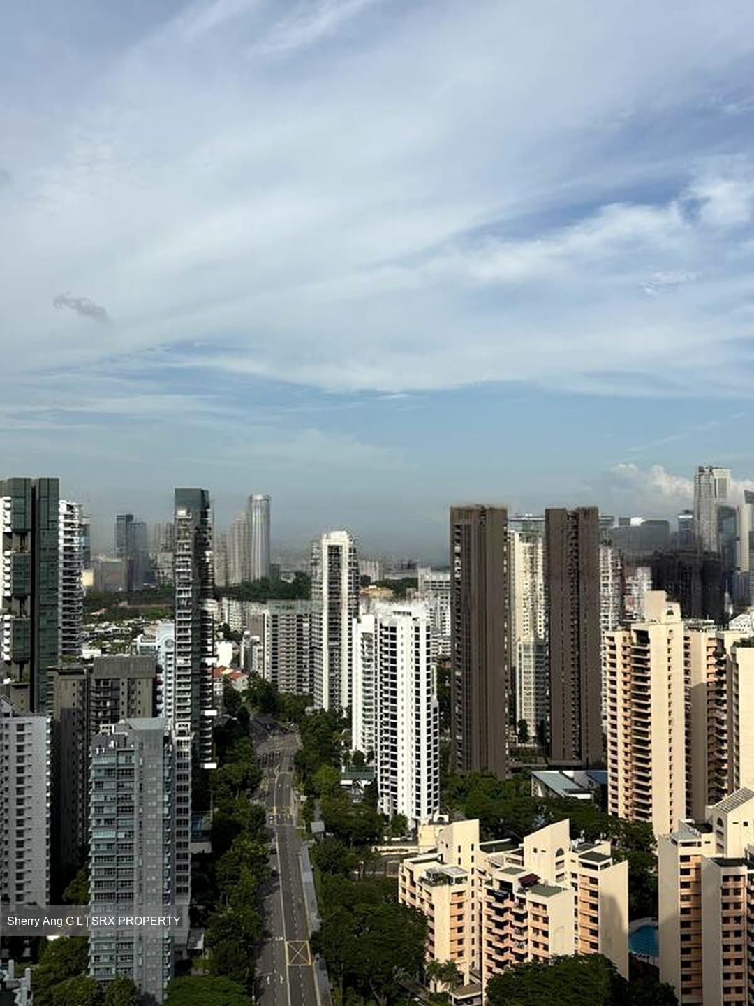 Irwell Hill Residences (D9), Apartment #597095961